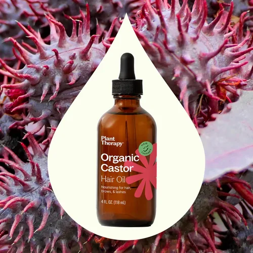 Vista 4 de Plant Therapy Aceite de ricino orgánico de 4 onzas – 100% puro y natural para el tratamiento nutritivo del cabello y la piel – prensado en frío