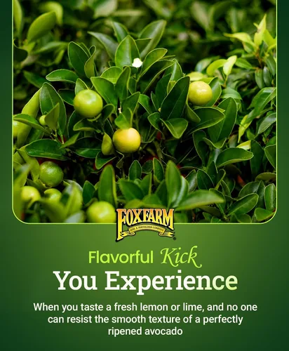 Vista 3 de FoxFarm Happy Frog - Fertilizante de cítricos y aguacate, con certificación OMRI, nitrógeno de liberación lenta, calcio y azufre para árboles