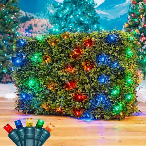Vista 24 de Novelty Lights Luces de red de 2 x 10, 100 LED de color blanco cálido con espacio de 4 pulgadas, bombillas de gran angular de 0.197 in en cable