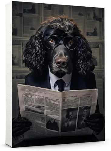 Vista 187 de Thuan Affenpinscher - Póster de lienzo con tus fotos, arte de pared para decoración del hogar, regalo conmemorativo para amantes de las mascotas