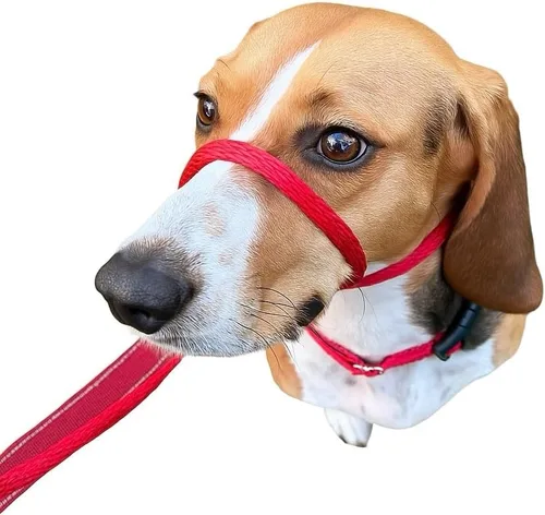 Vista 3 de Not So Fast Rover - Collar para la cabeza de perro sin tirones, talla única, de primera calidad, corrige los tirones de tu perro para paseos más