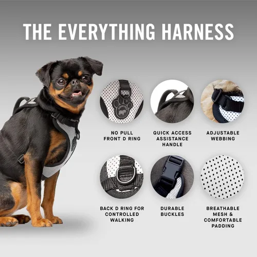 Vista 3 de Canada Pooch Arnés para perro Everything sin tirones, arnés fácil de caminar para perros con exterior de malla transpirable, arnés ajustable