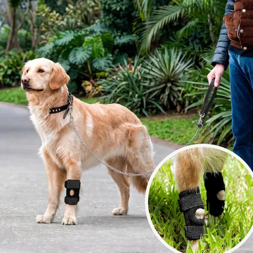 Vista 2 de Paquete de 2 protectores de codo de perro para recuperación, protección y prevención de esguinces y lesiones, S/M/L, ofrece soporte para el codo