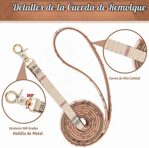 Vista 7 de BINGPET Juego de collar y correa para cachorro con pajarita, pañuelo a Beige