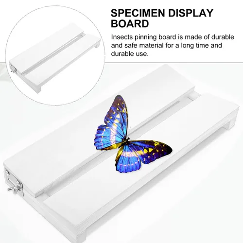 Vista 7 de Yardwe Tabla de extensión de mariposa ajustable de 13.77 x 6.29 pulgadas, herramienta de visualización de espécimen para montaje de insectos