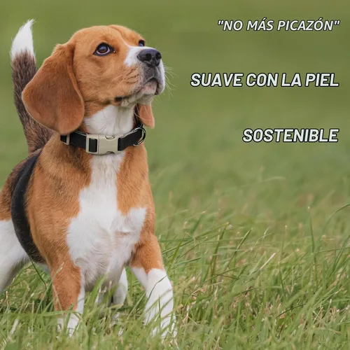 Vista 4 de Collar y correa para perro de algodón y cáñamo Plutus Pet, collar ajustable para perros pequeños, medianos y grandes, resistente y suave en la piel