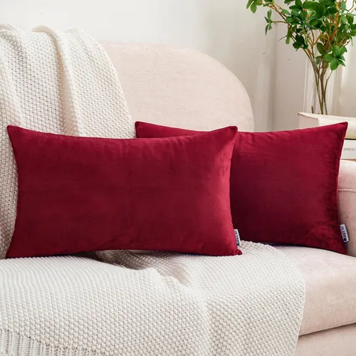 Vista 79 de HWY 50 fundas de almohada decorativas de terciopelo sólido para sofá, sala de estar., Terciopelo, gris, 20x20 pulgadas
