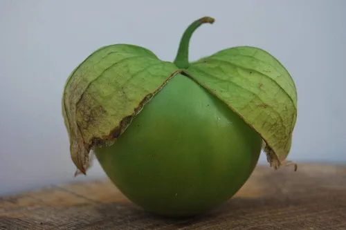 Vista 5 de Vegetal Cape Gooseberry Goldenberry Green Physalis - 150 Semillas