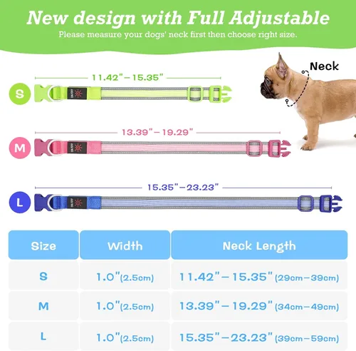 Vista 2 de Collar de perro LED, collar con luz para perro, para caminar por la noche Azul-2