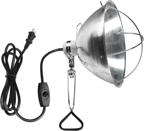 Vista 8 de Simple Deluxe Enchufe de luz de abrazadera con reflector de aluminio de 8.5 pulgadas, apto para lámpara de máximo 150 W (sin bombilla incluida)
