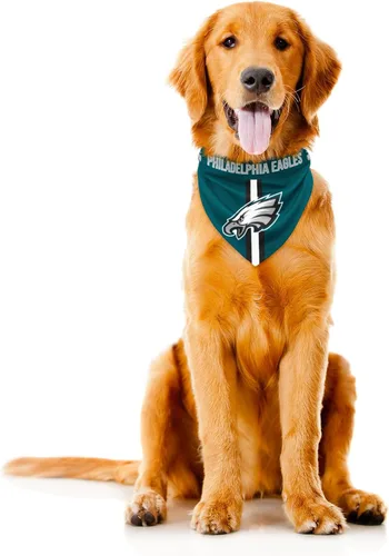 Vista 18 de Bandana de la NFL Team Dog, Rojo, S Arizona Cardinals