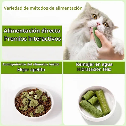 Vista 4 de Palitos de dentición de hierba natural para gatos, palillo masticable para eliminar bolas de pelo