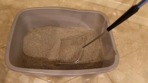 Vista 8 de Sand Dipper Recogedor de Caca de Gato y Recogedor de Caca de Pollo - Resistente Grande de 6" Cuadrado de Acero Inoxidable con Mango Largo
