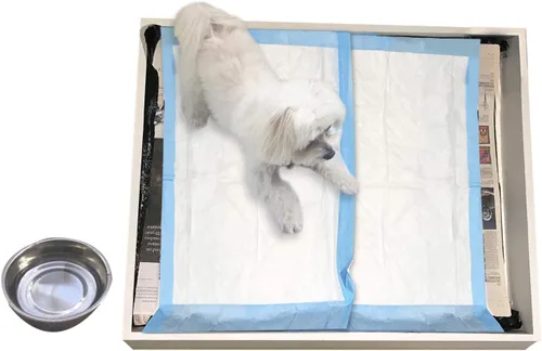 Vista 3 de Almohadillas desechables para entrenamiento de mascotas, tamaño 17 x 24, paquete de 100