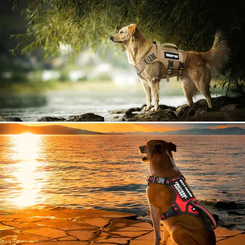 Vista 6 de WINSEE Parches reflectantes para perros de servicio en parche de entrenamiento para chaleco de servicio para arnés para perro (paquete de 7, S)