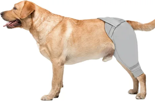 Vista 9 de Funda para patas traseras de perro para dejar de lamer, cubierta mejorada para patas traseras para dejar de resbalar, para cirugía TPLO, condiciones