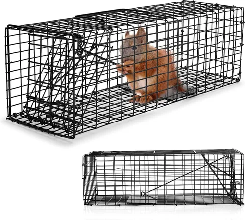 Vista 9 de Qualirey 1 trampa para ardillas humanitarias, resistente para animales vivos, captura y liberación, trampa para ratas para animales pequeños al aire