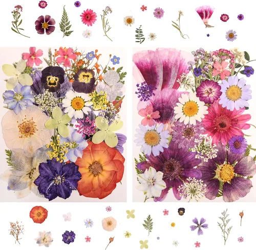 Vista 7 de 182 PCS Real Pressed Dried Flowers and Leaves for DIY Crafts Multicolor2