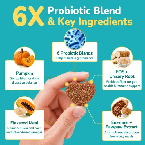 Vista 12 de Woyamay Probióticos para perros, probióticos masticables para perros, apoyo intestinal y digestivo