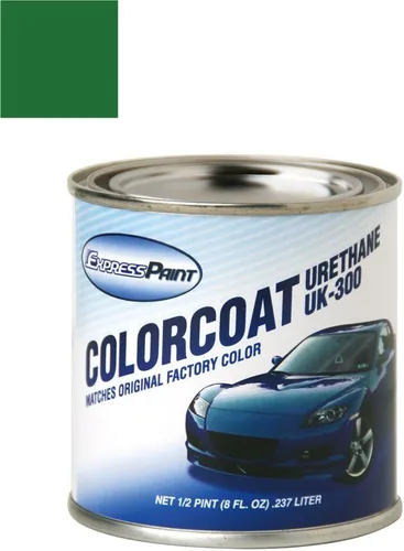 Vista 113 de Daewoo Leganza Automotive Pintura de Retoque