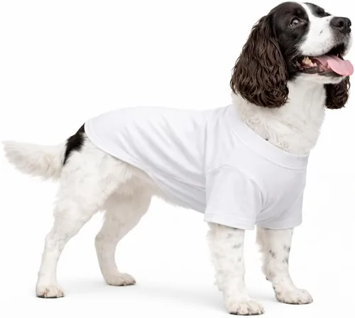 Vista 195 de Lovelonglong 2019 - Ropa para mascotas, Disfraces para Perro, Ropa Camisetas en blanco para Perros Grande Medianos Pequeños 100% Algodón 18
