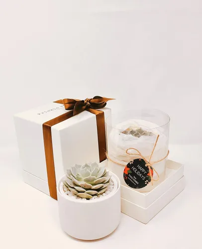 Vista 2 de Caja de regalo suculenta (Blush - Gris Pot&Box)