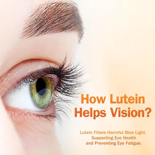 Vista 5 de NYO3 Luteína y zeaxantina de 40 mg con arándano, vitaminas para los ojos y suplemento mineral, multivitaminas para la salud ocular y la visión
