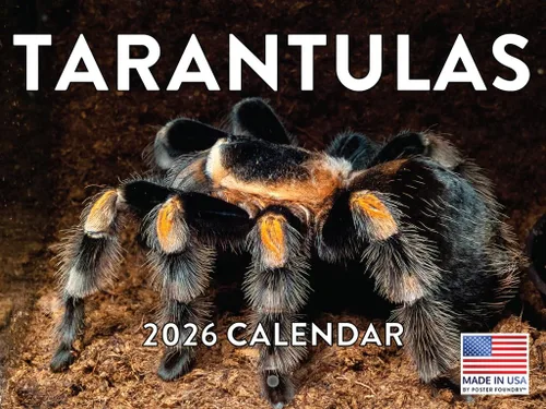 Vista 105 de Calendario mensual de pared de alpaca 2025 Fabricado en Estados Unidos