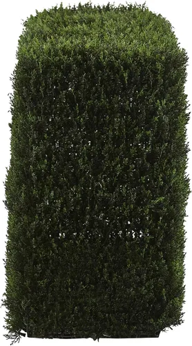Vista 4 de Nearly Natural Seto decorativo de cedro artificial de 20 pulgadas (interior/exterior)