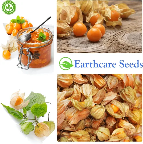 Vista 3 de Ground Cherry Aunt Molly's 50 Seeds
