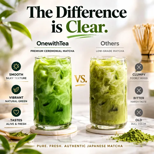 Vista 3 de Matcha de fresa orgánica para lattes helados, polvo de té verde de grado ceremonial listo para latte, sabor natural, orgánico, 2.1 onzas