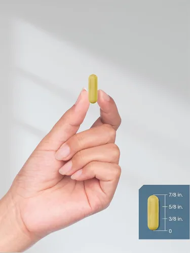 Vista 8 de Horbäach Quercetina 1000mg 100 Cápsulas con 100 mg de Zinc