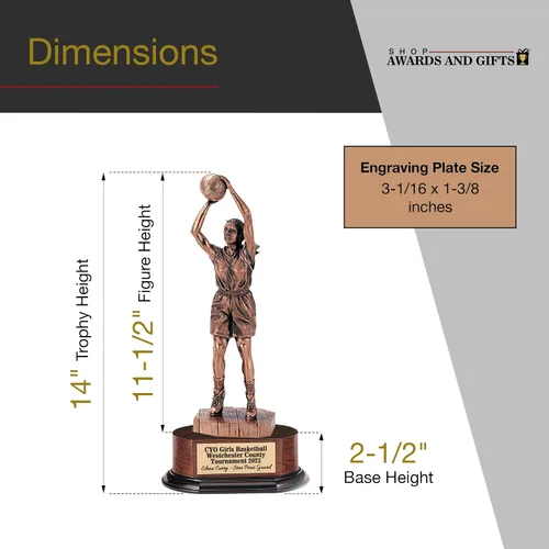 Vista 5 de Mujer galvanizada del trofeo del baloncesto de la figura del bronce antiguo en la base oval acabada de la nuez