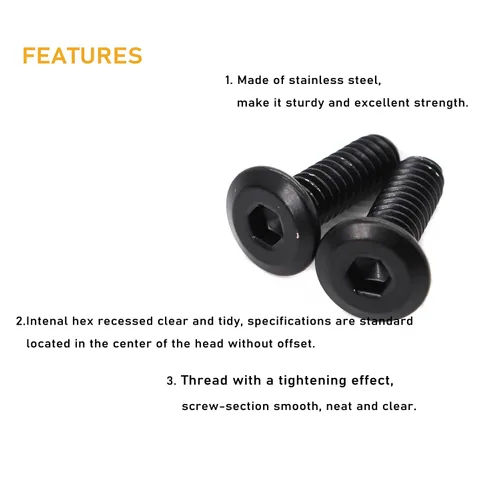 Vista 4 de 20pcs 1/4 "-20 x 1 Remache negro avellanado Tornillos de conexión de acero inoxidable 304