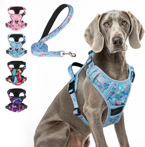 Vista 10 de BEAUTYZOO Arnés para perro sin tirones pequeño, juego de arnés y correa ajustable para perro - Fácil de usar con 3 hebillas/mango de control, arnés