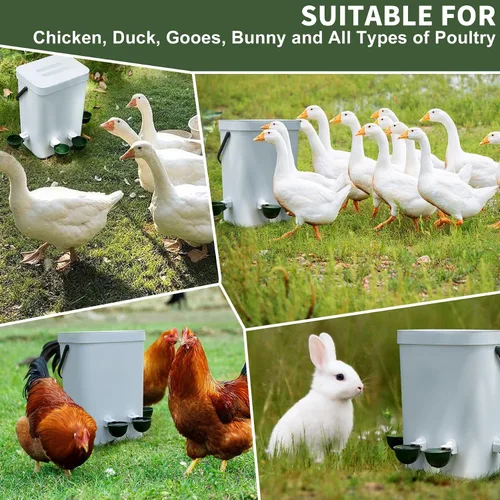Vista 4 de Paquete de 12 tazas de agua para pollo, cuenco alimentador automático de llenado, sistema de riego por gravedad para aves de corral, dispensador