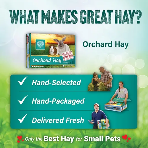 Vista 6 de Small Pet Select Orchard Grass - Alimento para mascotas con heno, 2 libras