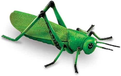 Vista 4 de Learning Resources Insectos jumbo, juguetes de animales para niños, ciencia preescolar infantil, habilidades motoras finas, regalos para niños