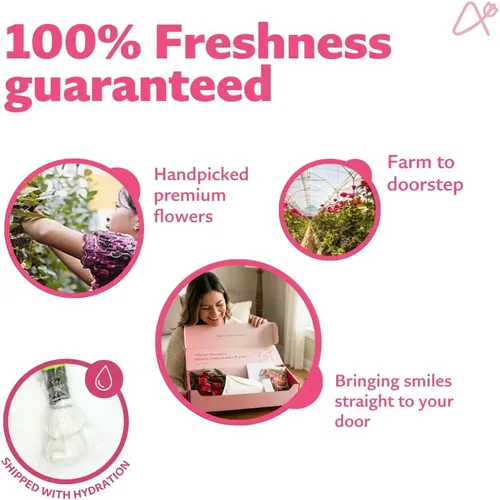 Vista 6 de Aquarossa Farms - Ramo de 12 Rosas Surtidas, Regalos para el Día de la Madre, Ramo de Flores Frescas, Flores para Entrega, Idea de Regalo para Ella