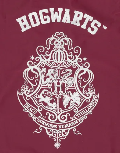 Vista 5 de Harry Potter Bañadores Niñas Hogwarts Borgoña O Azul Marino Hedwig Trajes de baño