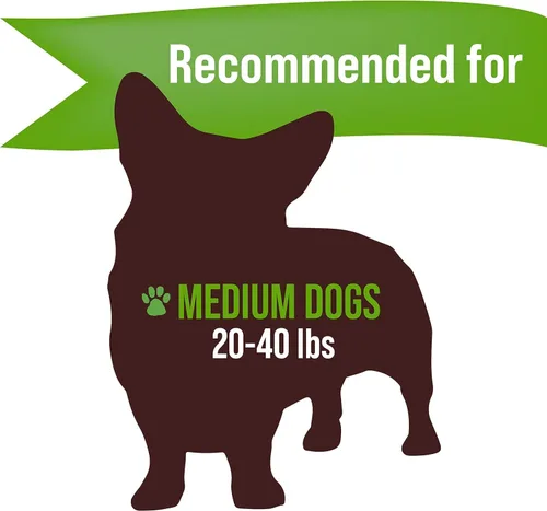 Vista 3 de Buck Bone Organics - Masticables de astas de alce para perros, duraderos, para masticadores agresivos, completamente natural, sin conservantes