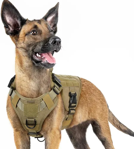 Vista 29 de rabbitgoo - Arnés táctico para perros pequeños, arnés resistente para mascotas con asa, chaleco de servicio sin tirones para razas pequeñas, chaleco