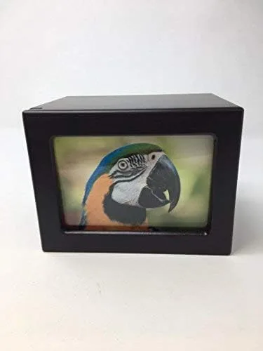 Vista 9 de Urna para mascotas, urna conmemorativa para mascotas, caja de fotos, urna de cremación para mascotas, urna de perro, urna de gato, urna de animal