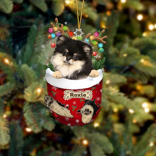 Vista 131 de LOVELYPOD Adorno Personalizado de Perro Affenpinscher, Adornos de Navidad Affenpinscher Regalo para Amante de Perros, Adorno de Navidad Colgante