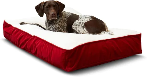 Vista 14 de South Pine Porch Buddy - Cama rectangular reversible de microfibra para perro con funda extraíble, lavable a máquina, cacao, extra pequeña