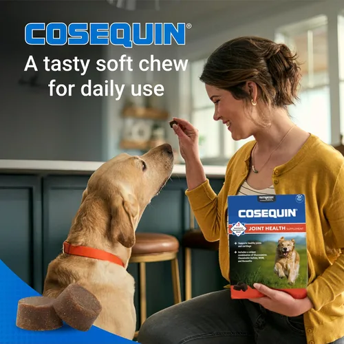 Vista 4 de Nutramax Laboratories Cosequin DS Plus MSM Professional Line para perros, 60 masticables suaves
