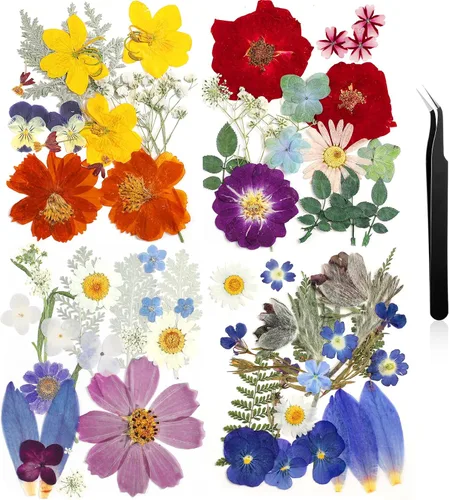 Vista 18 de Nuanchu Flores secas prensadas negras para manualidades, flores secas góticas, flores silvestres prensadas naturales a granel con pinzas para molde