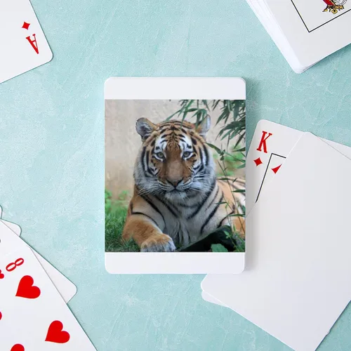 Vista 3 de CafePress Tiger20180701ByJamfoto Standard Size Playing Cards