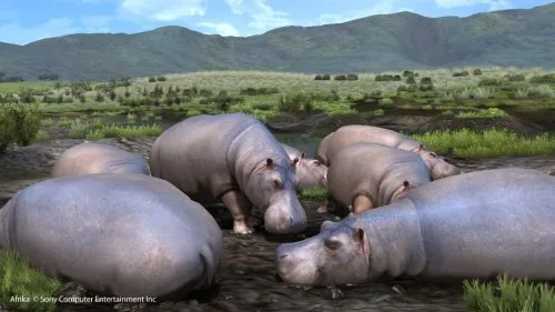 Vista 6 de Afrika - Playstation 3