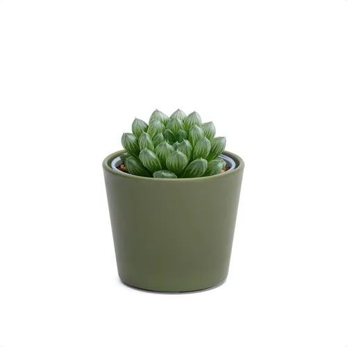 Vista 36 de Phoenix Vine Macetero de plástico verde oliva de 4.5 pulgadas con maceta transparente, cubierta decorativa ligera con maceta interior transparente
